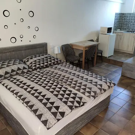 Apartament Vasti *